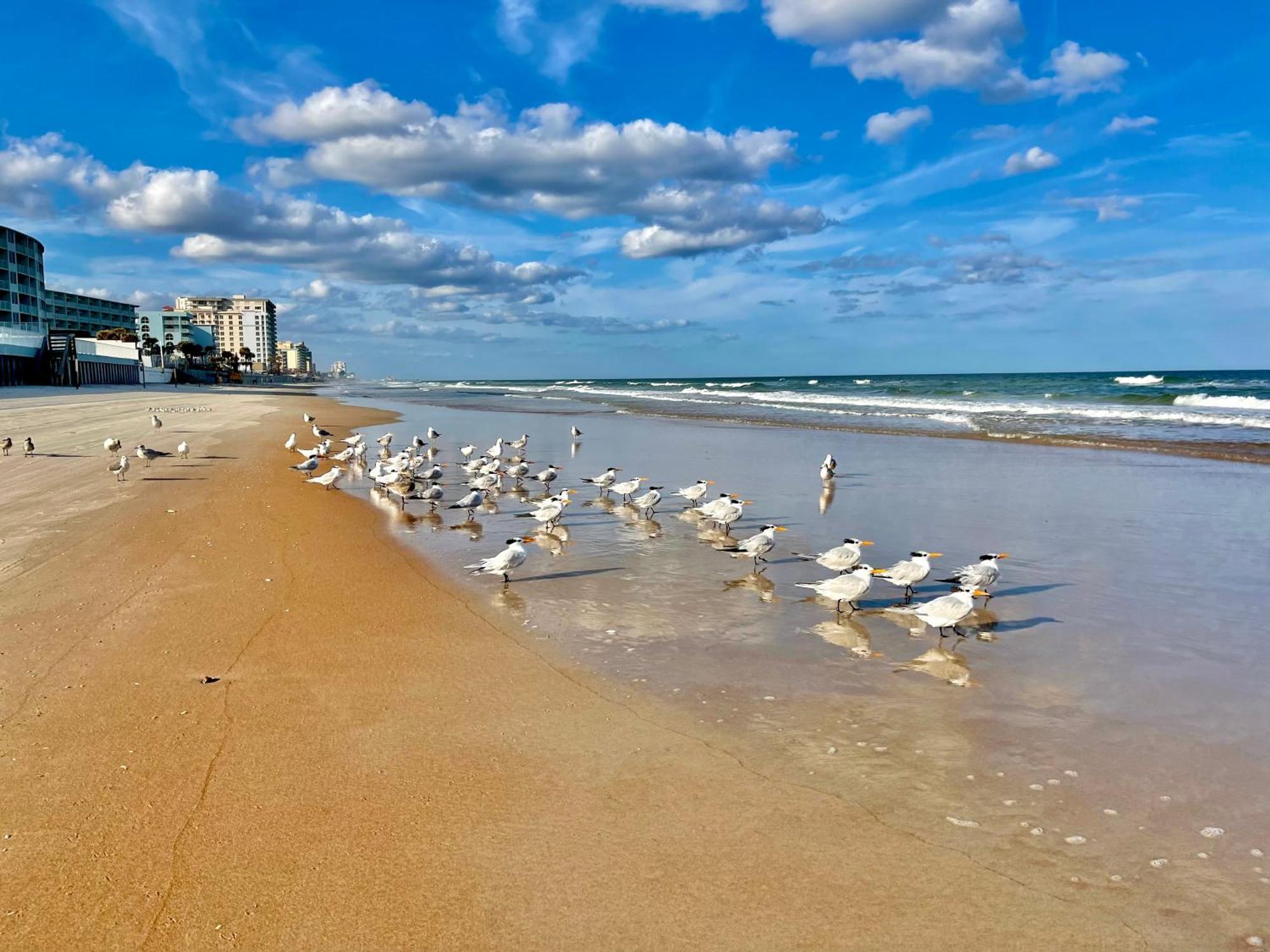 Sunset Studio Daytona Beachfront Luaran gambar
